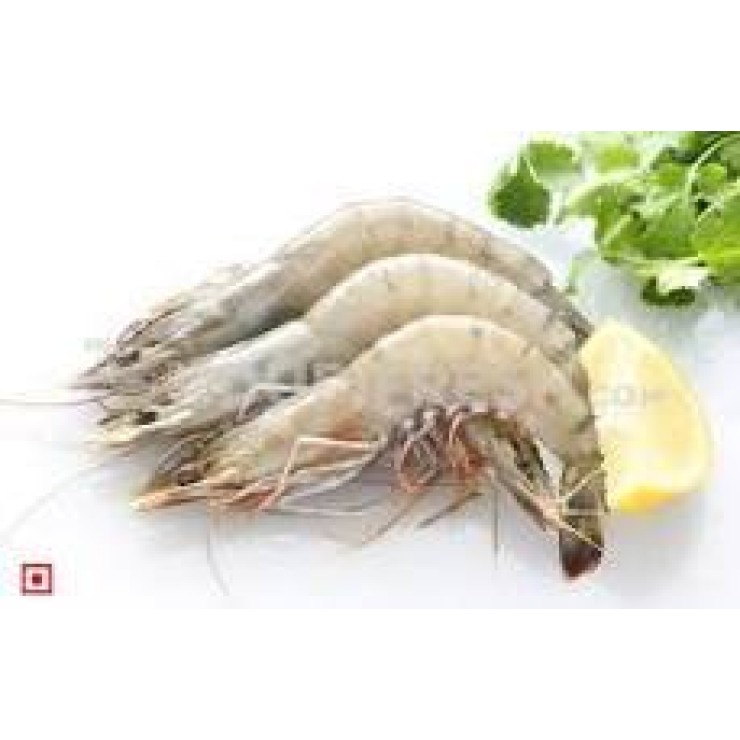 Wild Prawns Medium / Shell fish / പ്രൗൺസ് (500gm) - Not Cleaned